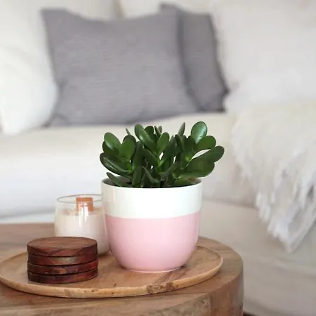 Istmo - Quiet, Cosy With Panorama Sunset Апартаменты